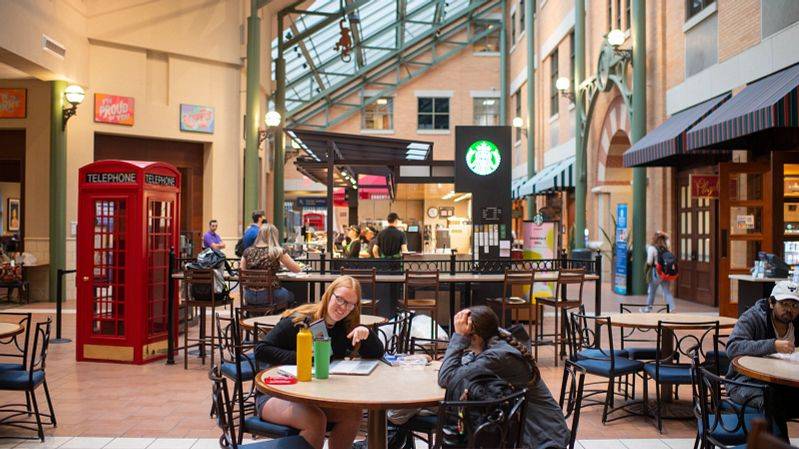 Students studying in the Richard M. DeVos Center.